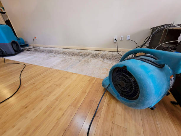 Professional Water Damage Repair technician working in East Ellijay, GA